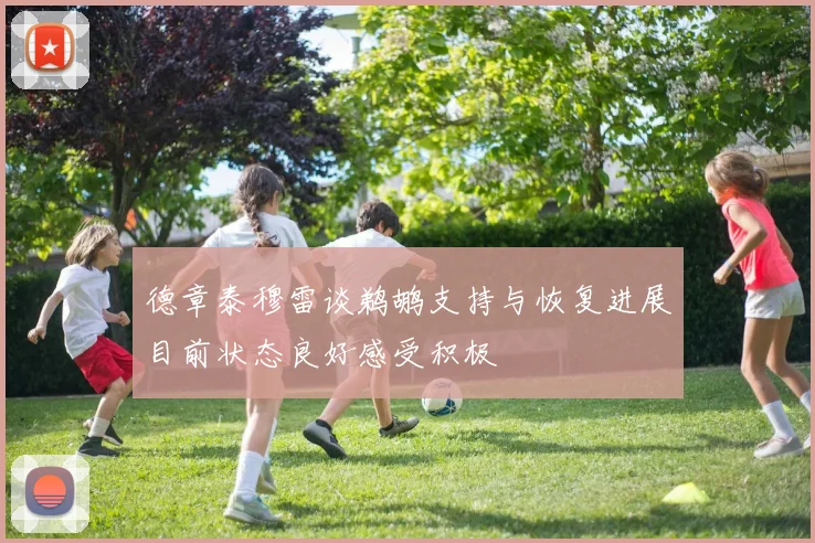 德章泰穆雷谈鹈鹕支持与恢复进展目前状态良好感受积极