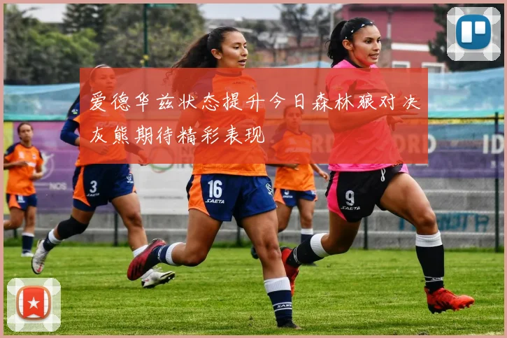 爱德华兹状态提升今日森林狼对决灰熊期待精彩表现