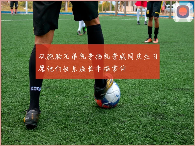 双胞胎兄弟阮景扬阮景威同庆生日愿他们快乐成长幸福常伴