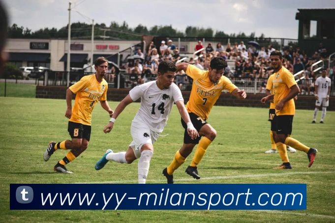 多媒体互动体验